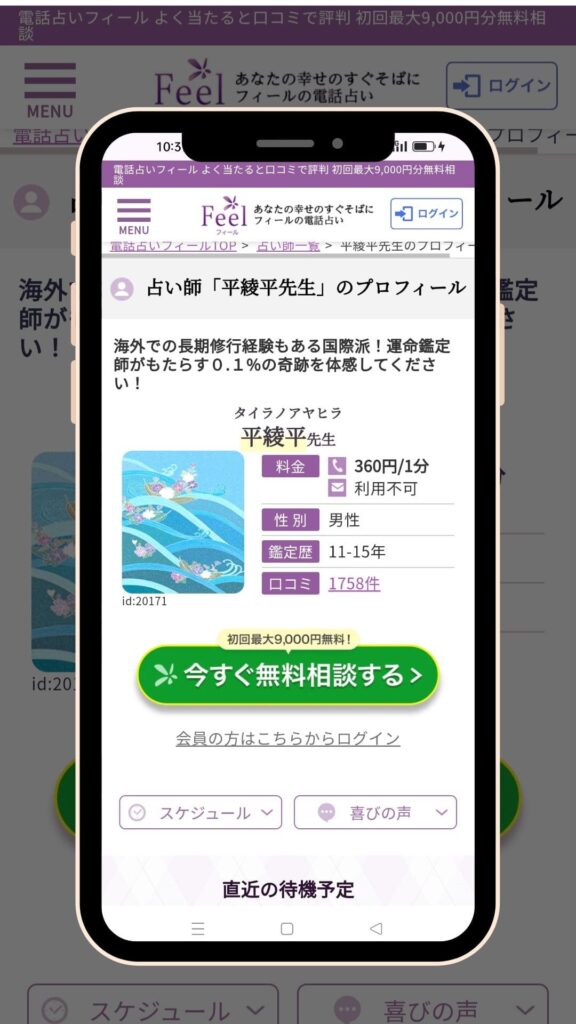 電話占いフィール 平綾平先生