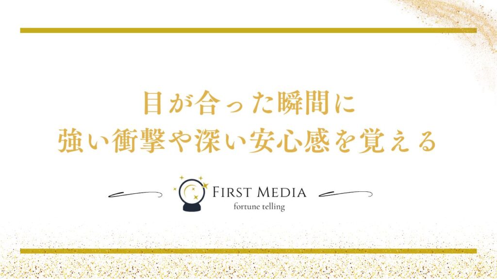 ツインレイ 特徴