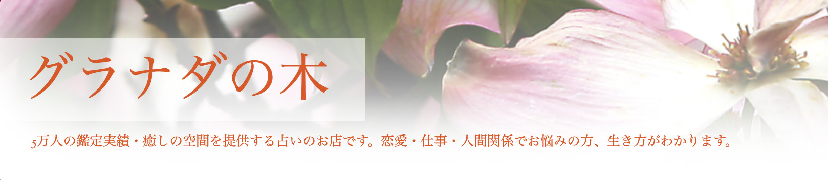 グラナダの木