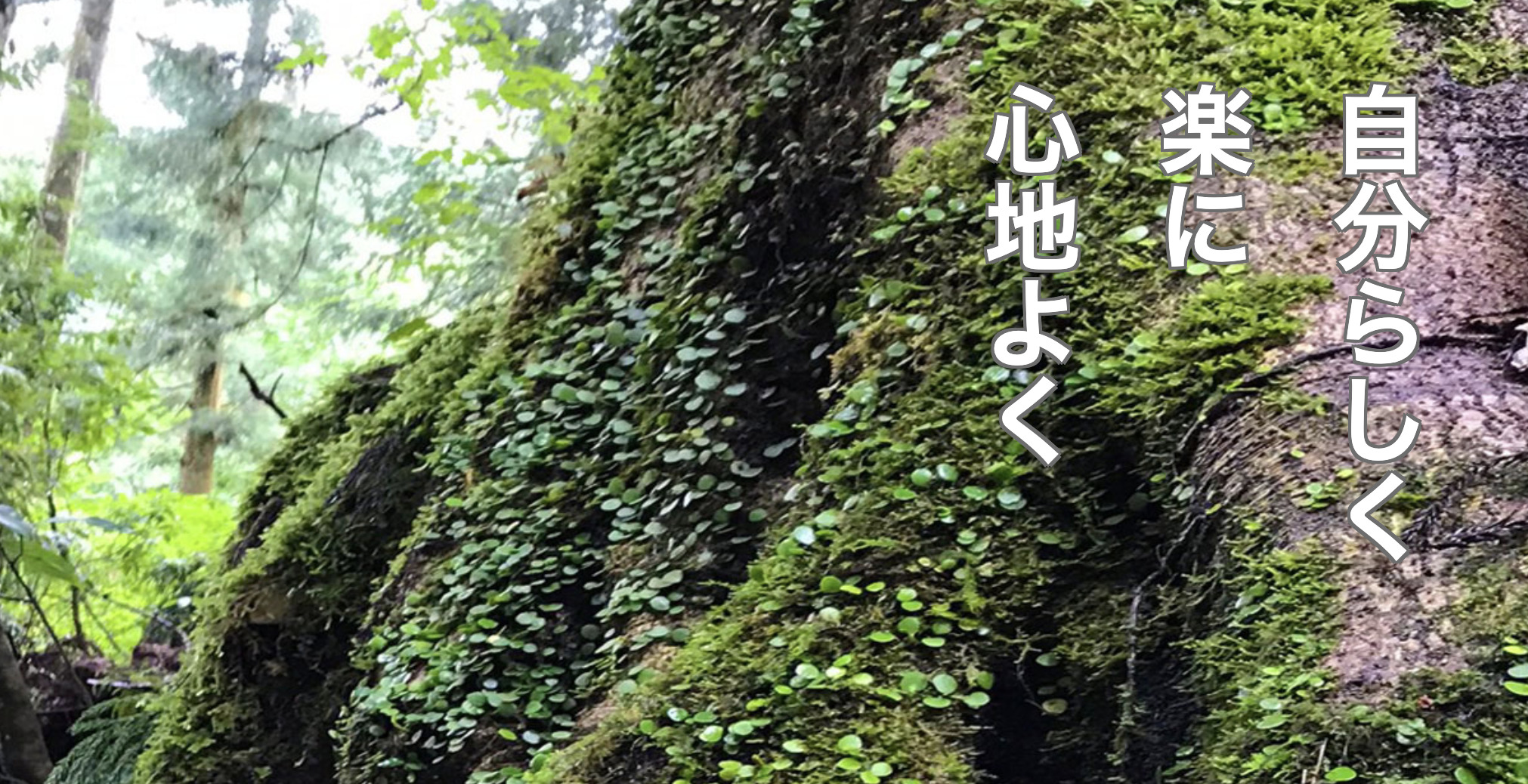 わくわく手相
